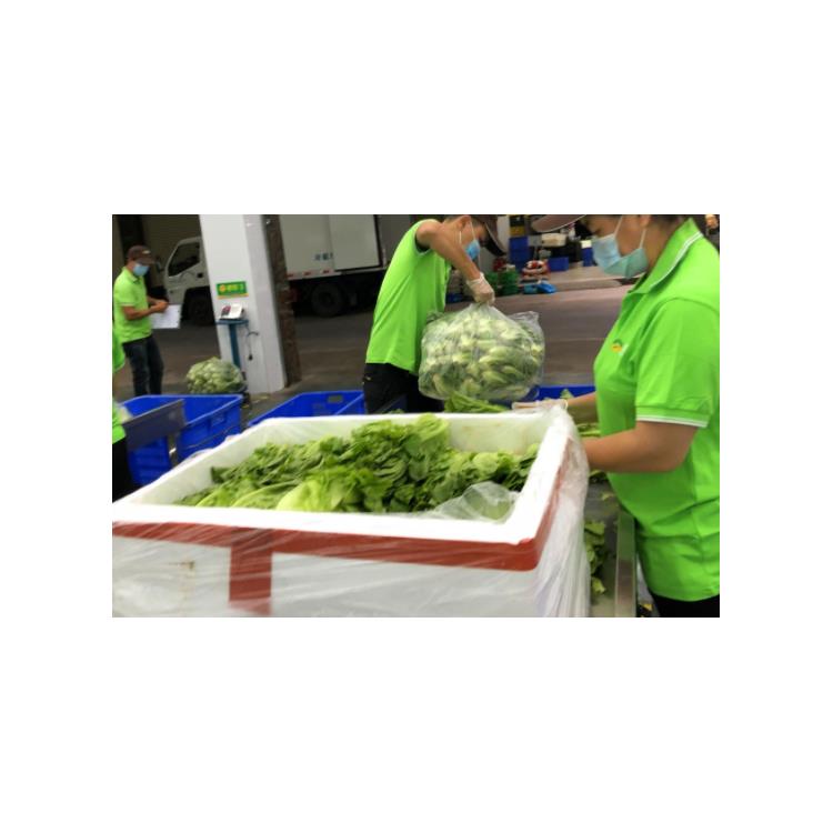 东莞蔬菜配送服务 新鲜直达，便利生活