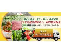 食材配送服务全解析 如何选择高效可靠的配送伙伴